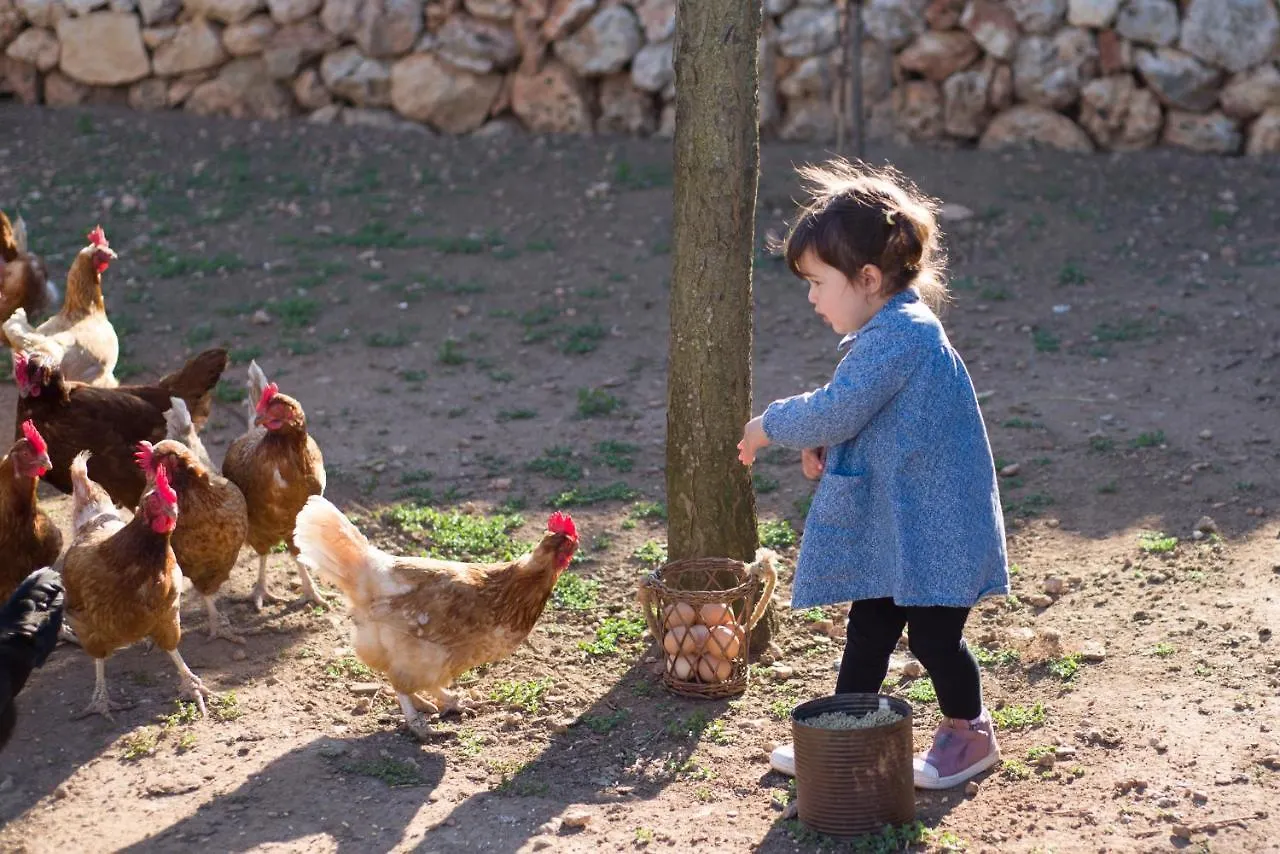 Farm stay Llucmacanes Gran Agroturismo Mahon  Spain