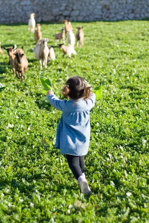 Farm stay Llucmacanes Gran Agroturismo Mahon  Spain